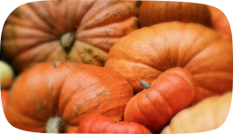 Thanksgiving Day